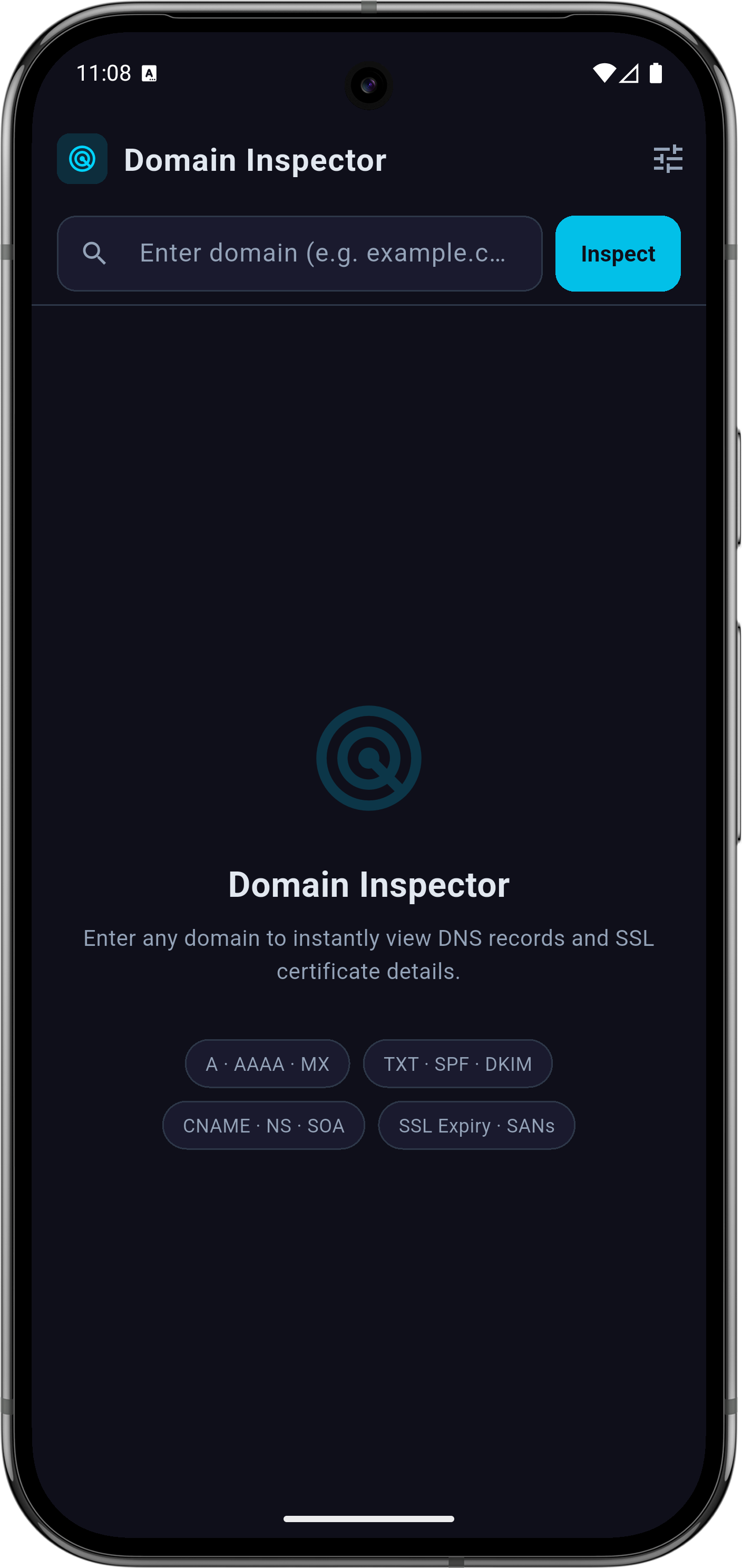 Main app screen showing domain tools