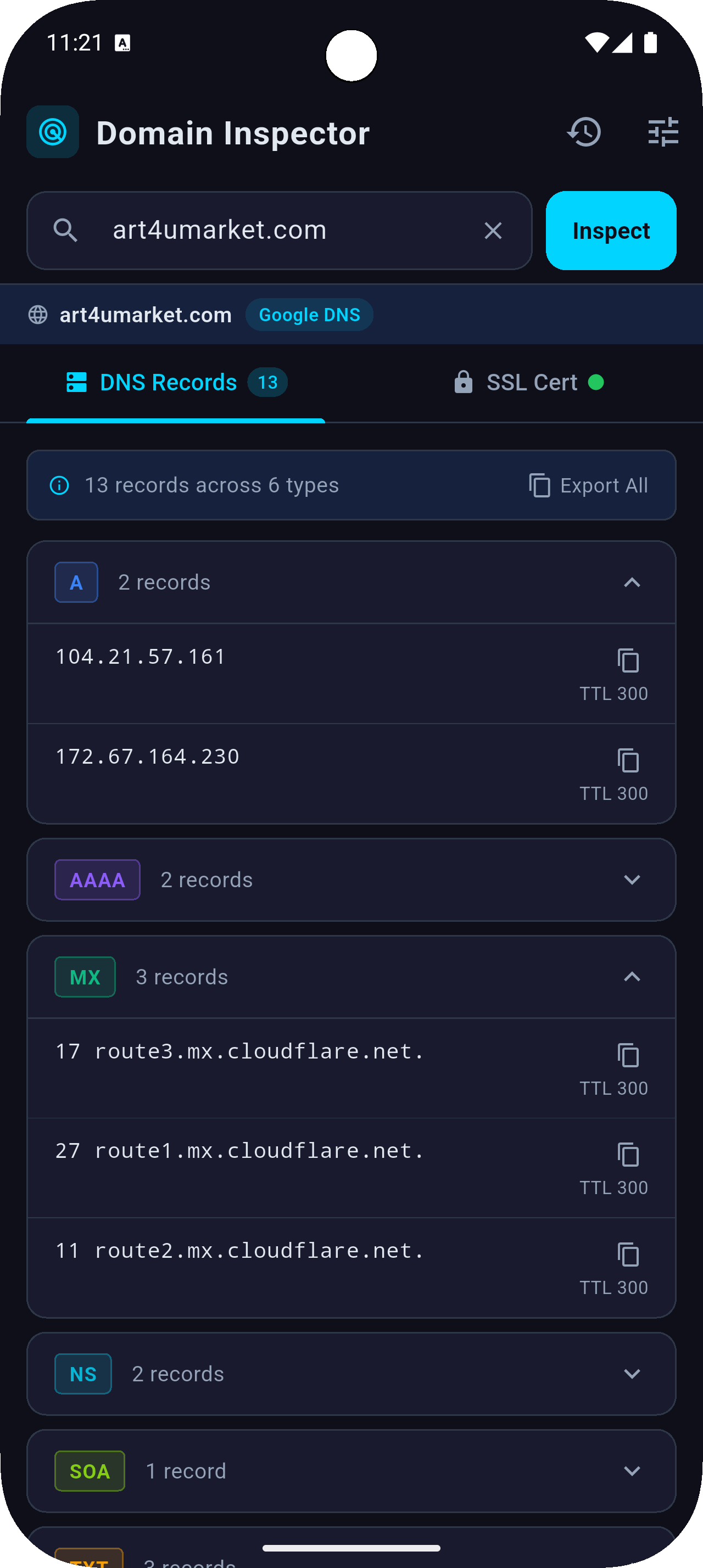 DNS inspector records view